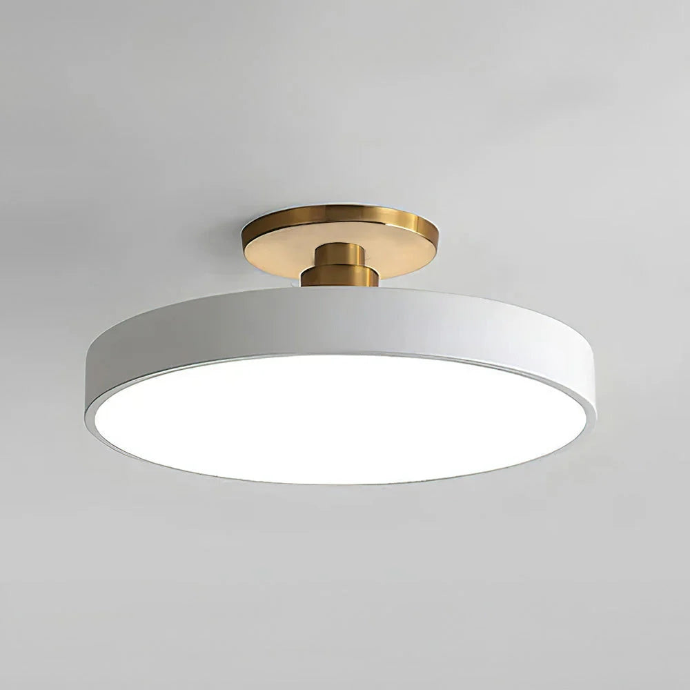 Modern LED Flush Ceiling Lamp – Versatile Sizes for Any Room